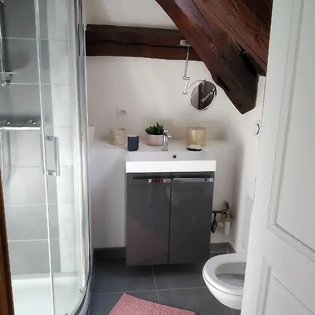 Le Mucie****appartement Hyper Centre Au Calme Apartmán Dijon